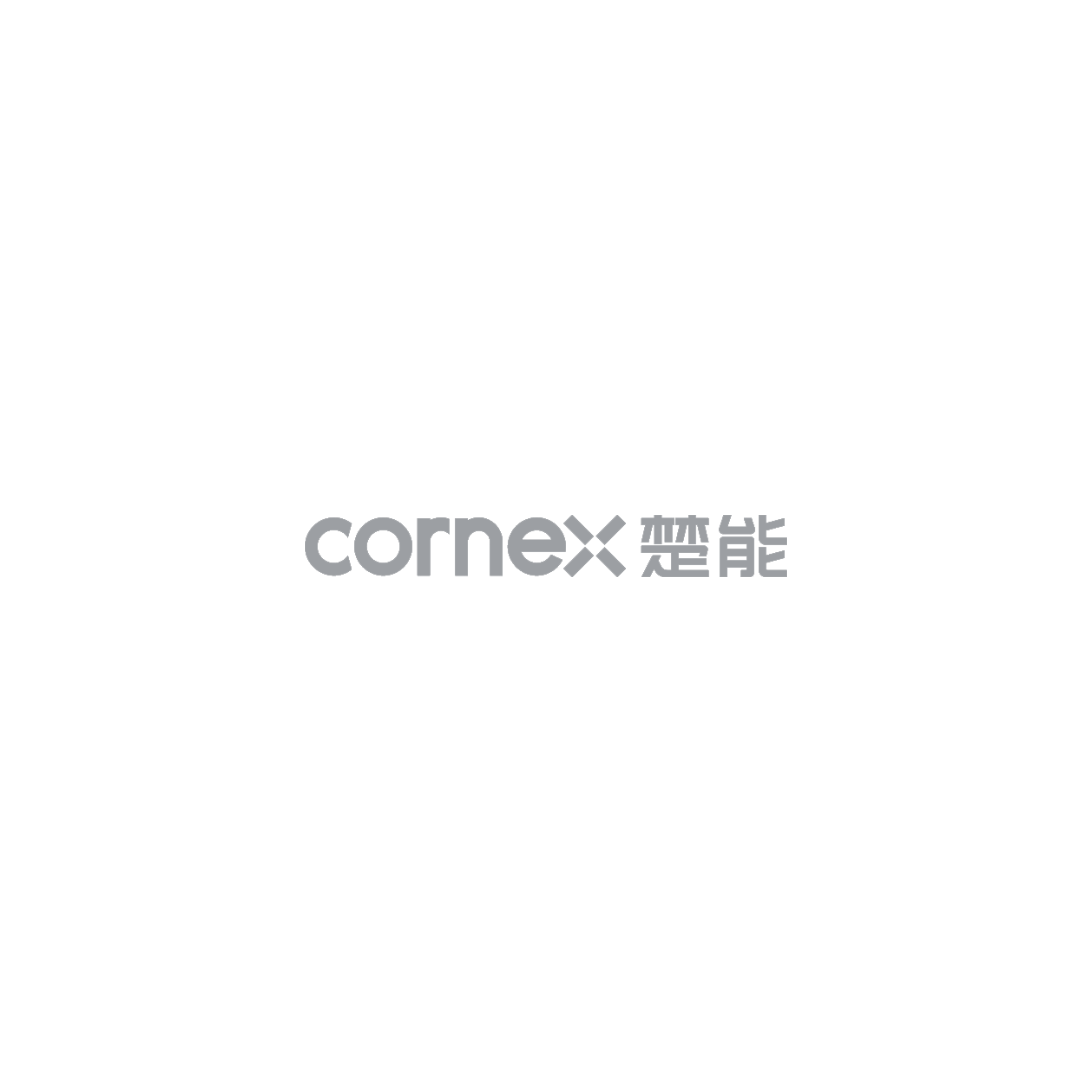 Alternate Text